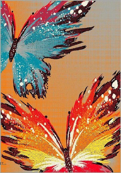 Kolibri Fluturi 11278 160, Covor Copii, Multicolor Multicolor, Dreptunghi, 200 x 300
