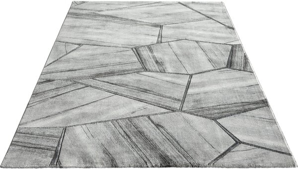 Covor Waben gri 200/290 cm