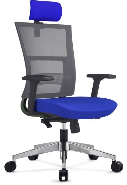 Scaun birou ergonomic MTS Next PDH albastru