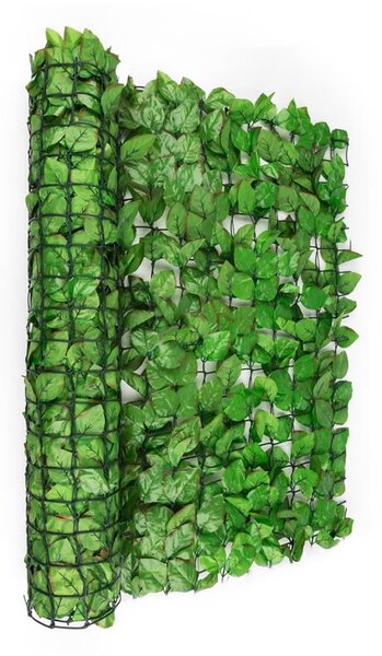 Blumfeldt Fency Bright Leaf, verde deschis, fag, gard - protecție împotriva vântului 300 x 150 cm