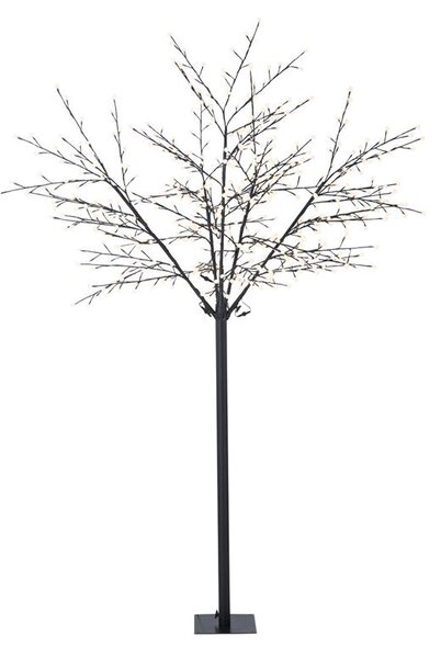 Blumfeldt Shineberry WW 250 cu560 LED-uri lumini in copac alb cald