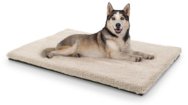 Brunolie Luna, pat pentru câine, pernă pentru câine, lavabil, ortopedic, antiderapant, spumă cu memorie, dimensiunea L (100 × 10 × 65 cm)