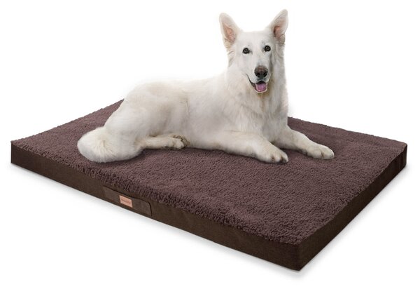 Brunolie Balu, pat pentru câine, pernă pentru câine, lavabil, ortopedic, antiderapant, spumă cu memorie, dimensiunea XXL (135 × 10 × 100 cm)