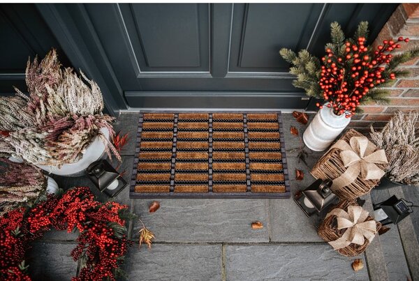 Covoraș de intrare 40x60 cm Mix Mats – Hanse Home