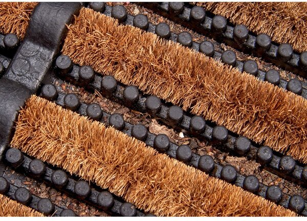 Covoraș de intrare 40x60 cm Mix Mats – Hanse Home