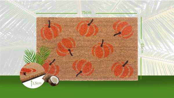 Covoraș de intrare 45x75 cm Mix Mats – Hanse Home