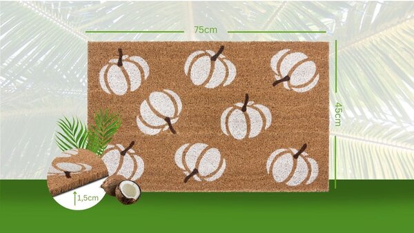 Covoraș de intrare 45x75 cm Mix Mats – Hanse Home