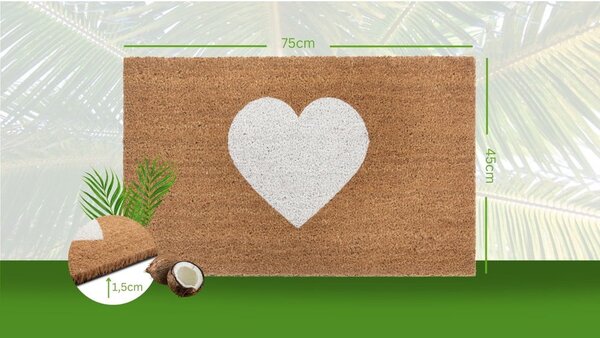 Covoraș de intrare 45x75 cm Mix Mats – Hanse Home