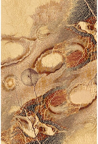 Covor lana Bellona natura abstracta chihlimbar 200 X 300