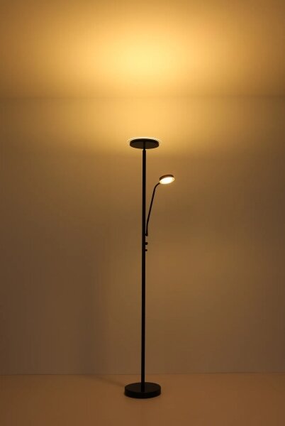 Globo 59092 - Lampadar LED St ERNST LED/18,5W/230V + LED/4,5W