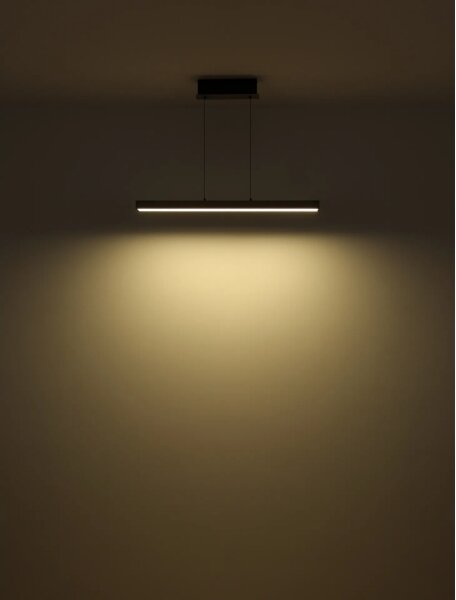 Globo 17016 - Lustra LED dimabilă pe cablu ETHAN LED/39W/230V 2700/4000/6000K gri