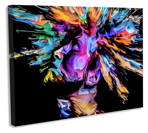 Tablou decorativ canvas design pictura abstracta cap femeie cu parul ridicat 50×70 cm