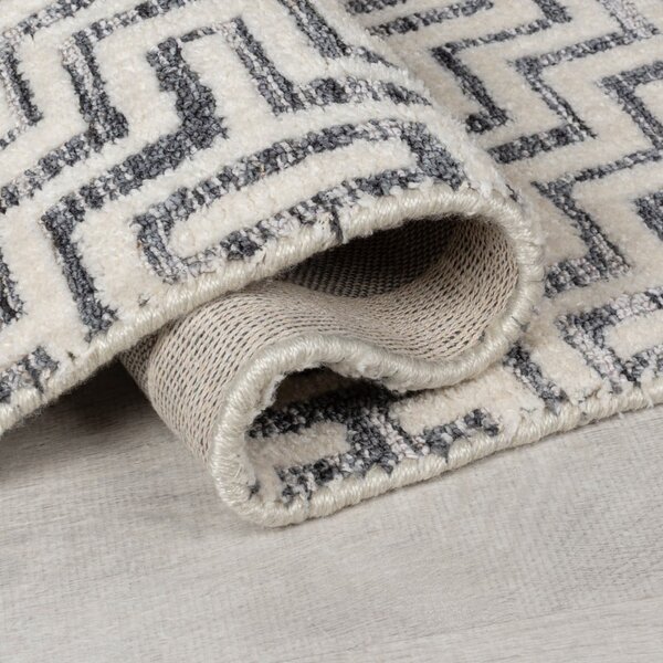 Covor gri 160x230 cm Rhett – Flair Rugs