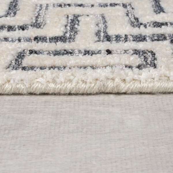 Covor gri 160x230 cm Rhett – Flair Rugs