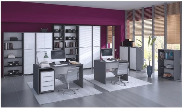 KONDELA Dulap biblioraft, grafit, RIOMA NEW TYP 03