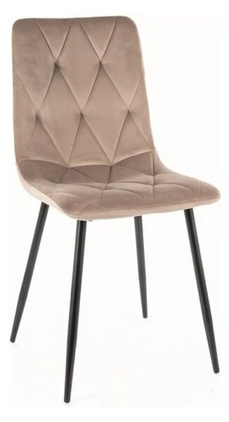 Scaun TOM, bej/negru, stofa catifelata/metal, 45x39x91 cm