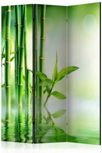 Paravan - Green Bamboo [Room Dividers]