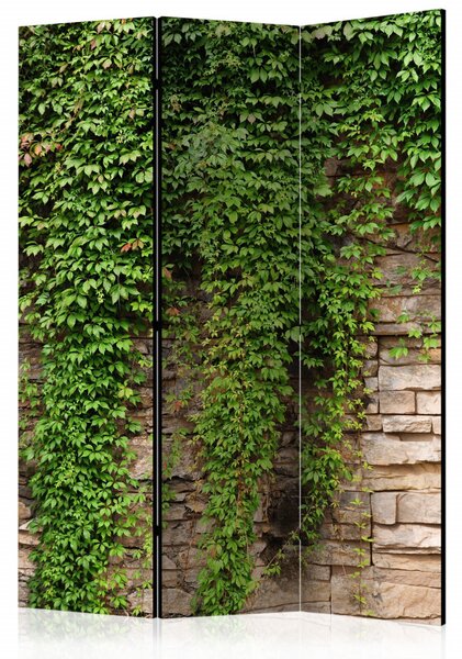 Paravan - Ivy wall [Room Dividers]