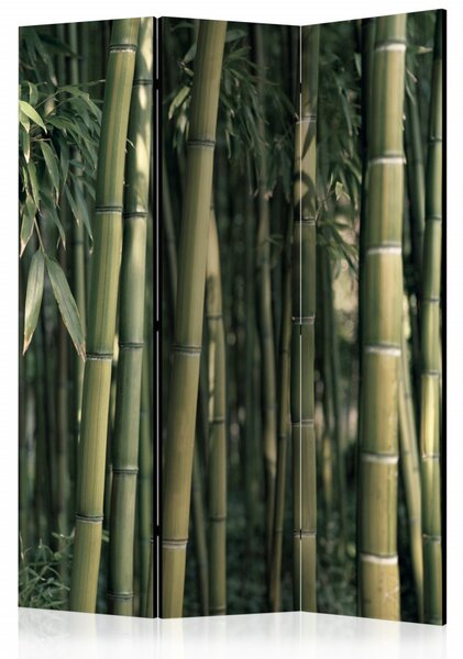 Paravan - Bamboo Exotic [Room Dividers]