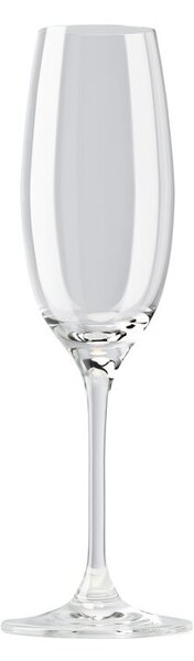 Pahar pentru sampanie DiVino, sticla, 22,5cm, 220 ml