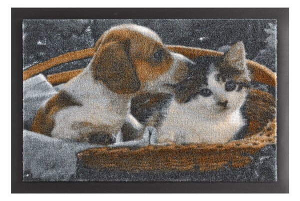 Covoraș intrare Hanse Home Animals Dog and Cat, 40 x 60 cm