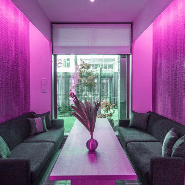 Furtun Luminos Led Neon Flex LUXON Lumina Mov