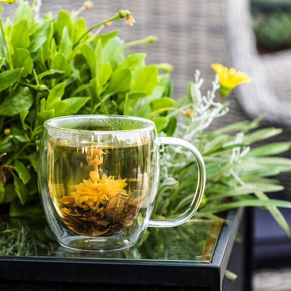 Pahare Termo Big Tea 4Home Hot&Cool 480 ml, 1 buc