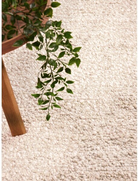 Covor crem țesut manual din material bouclé 160x230 cm Notting Hill Portobello – Ted Baker