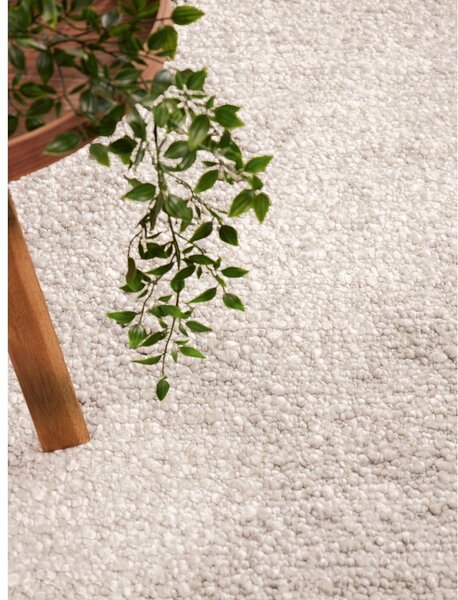 Covor fildeș țesut manual din material bouclé 160x230 cm Notting Hill Portobello – Ted Baker