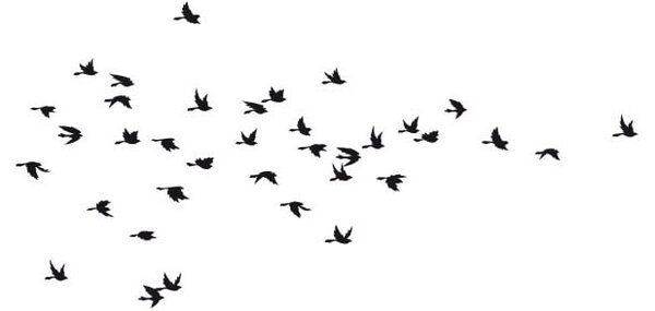 Autocolant Fanastick Birds in Flight
