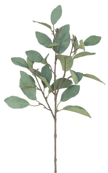 Ramură artificială Magnolie, verde-gri, 62 cm