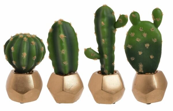 Zinne Set 4 cactusi in ghiveci, Plastic, Verde