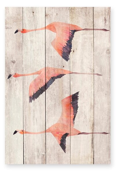 Decorațiune din lemn de pin pentru perete Madre Selva Flying Flamingo, 60 x 40 cm