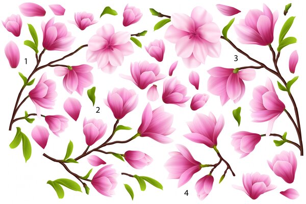 Sticker Flori de Magnolie - 60x90 cm