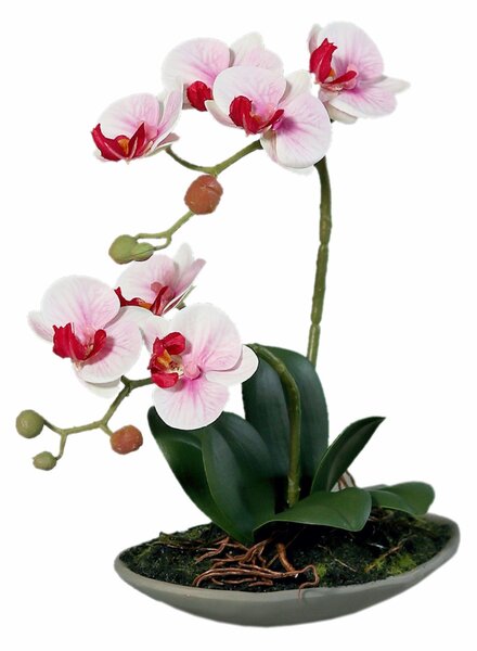 Orhidee artificiala Phalaenopsis alb-roz cu aspect 100% natural 30 cm