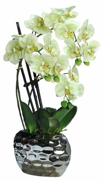 Orhidee artificiala Phalaenopsis vernil cu aspect 100% natural in vas ceramic, 50 cm