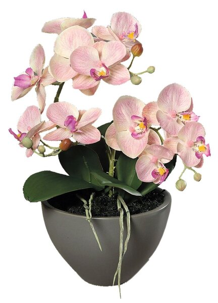 Orhidee artificiala Phalaenopsis roz deschis in vas ceramic, 35 cm