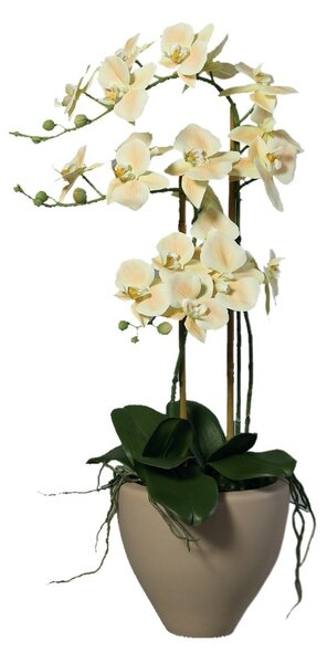 Orhidee artificiala Phalaenopsis crem cu aspect 100% natural in vas ceramic, 70 cm