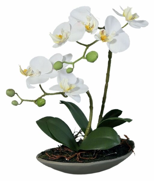 Orhidee artificiala Phalaenopsis alba cu aspect 100% natural 30 cm