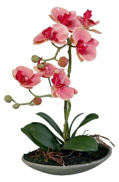 Orhidee artificiala Phalaenopsis somon cu aspect 100% natural in vas ceramic, 30 cm