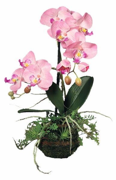 Orhidee artificiala Phalaenopsis roz cu aspect 100% natural in bila de pamant, 45 cm