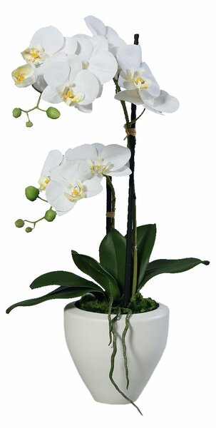 Orhidee artificiala Phalaenopsis alba cu aspect 100% natural in vas ceramic, 57 cm