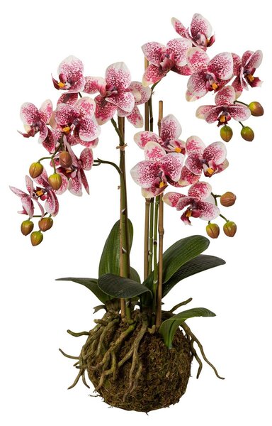 Orhidee artificiala Phalaenopsis roz in bila de pamant, cu aspect 100% natural, 54 cm