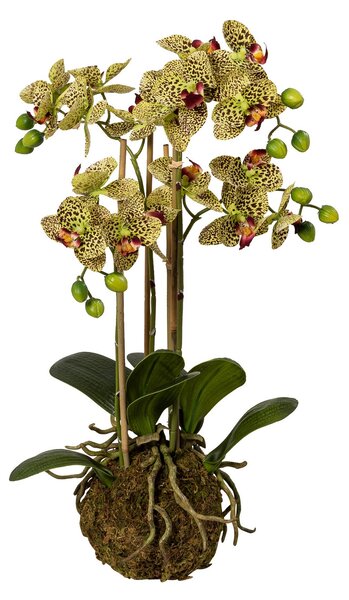 Orhidee artificiala Phalaenopsis galbena in bila de pamant, cu aspect 100% natural, 54 cm