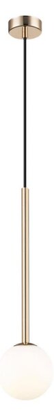 Lustră pe cablu Zuma Line P0574-01F-F7AA ARCTURUS 1xG9/4W/230V auriu