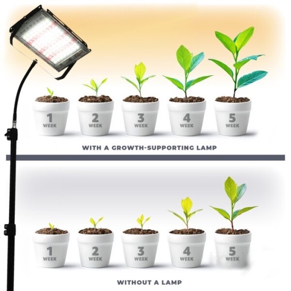 Proiector LED cu suport pentru creșterea plantelor FIRON LED/45W/230V IP54 negru