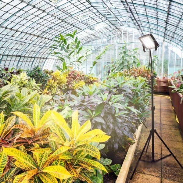 Proiector LED cu suport pentru creșterea plantelor FIRON LED/45W/230V IP54 negru