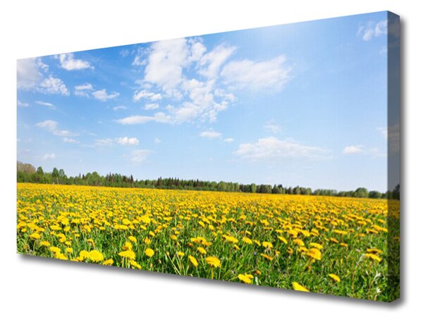 Tablou pe panza canvas Păpădie Meadow Peisaj Galben Albastru
