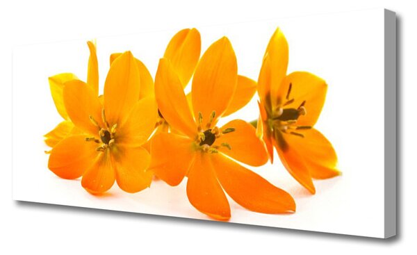 Tablou pe panza canvas Flori Floral Orange