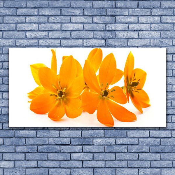 Tablou pe panza canvas Flori Floral Orange